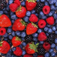 Background Berries - png ฟรี