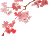 Cherry Blossom Branch - PNG gratuit