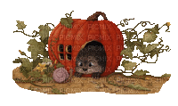 Pumpkin, Fairy, House Beaver - GIF animé gratuit