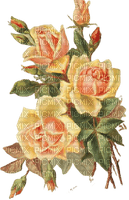 vintage flowers - 免费PNG