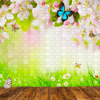 Y.A.M._Spring background - besplatni png