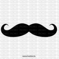 Moustaches - gratis png