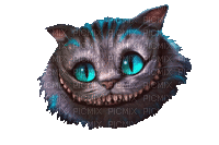 Alice, cat, GIF, animation, disney, Pelageya - Bezmaksas animēts GIF