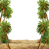soave frame summer animated beach palm green brown