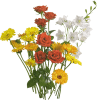 квіти - PNG gratuit