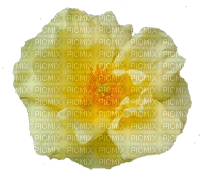 trandafir - δωρεάν png