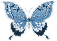 Y.A.M._Fantasy Butterfly blue - Free animated GIF