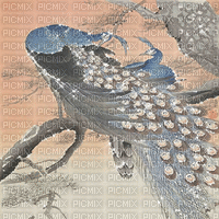 kikkapink peacocks asian japanese background - Безплатен анимиран GIF