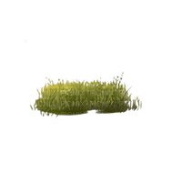 grass - Free PNG