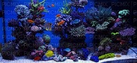 Aquarium - png gratuito