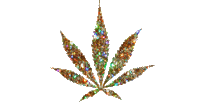 glitter pot leaf - GIF animate gratis