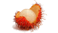 fruit lychee bp - darmowe png