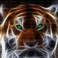 tigre - png gratis