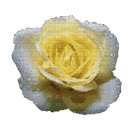Цветок - Δωρεάν κινούμενο GIF
