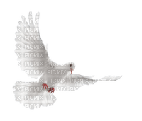 dove - darmowe png