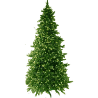 julgran------Christmas tree - ilmainen png