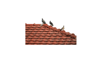 roof - 無料png