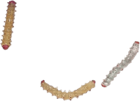 worms2 - 免费PNG