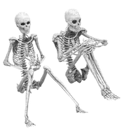 skeleton, luuranko