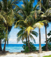 Rena Palmen Strand Hintergrund Background Sommer - Free PNG