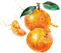 watercolor tangerine Bb2 - png gratis