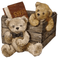 Teddybären, Kiste, Buch - png ฟรี