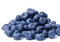 Fruit. Blueberry. Leila - PNG gratuit