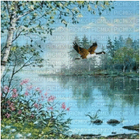 background animated natur - Gratis geanimeerde GIF