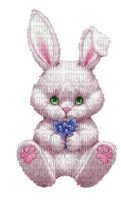hare by nataliplus - 免费PNG