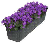 Blumenkasten - Ilmainen animoitu GIF