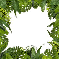 Frame, Jungle leaves, png - ingyenes png
