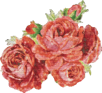 VanessaVallo _crea- red roses animated - GIF เคลื่อนไหวฟรี