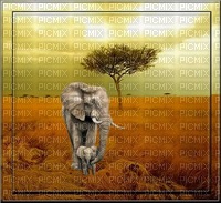 bg-landskap-orange-elefant - Free PNG