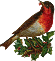Vintage Bird - PNG gratuit