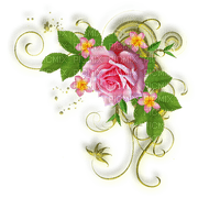 Rose Decoration - nemokama png