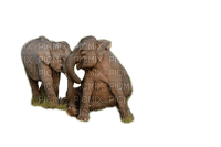 elefant milla1959 - png gratis