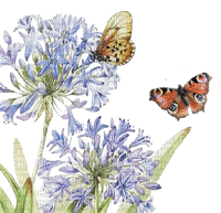loly33 fleur papillon aquarelle - бесплатно png