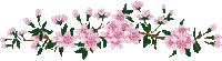 Flower Border - Gratis animeret GIF