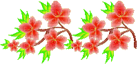 Fleurs - Gratis geanimeerde GIF