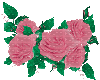 Y.A.M._Vintage roses flowers - Besplatni animirani GIF