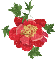 More flowers - kostenlos png