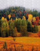 fond page automne - 無料png