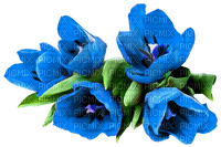 цветы - 免费PNG