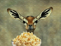 Gazelle - GIF animado grátis