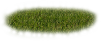 Трава - png grátis