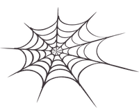 spider web bp