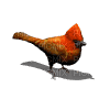 oiseau - Бесплатный анимированный гифка