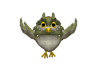 Flapping Owl gif - Бесплатный анимированный гифка