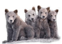 dolceluna polar bear deco fantasy winter - PNG gratuit