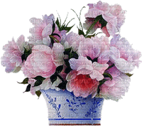 flowers peony, peonies bp - GIF animado grátis